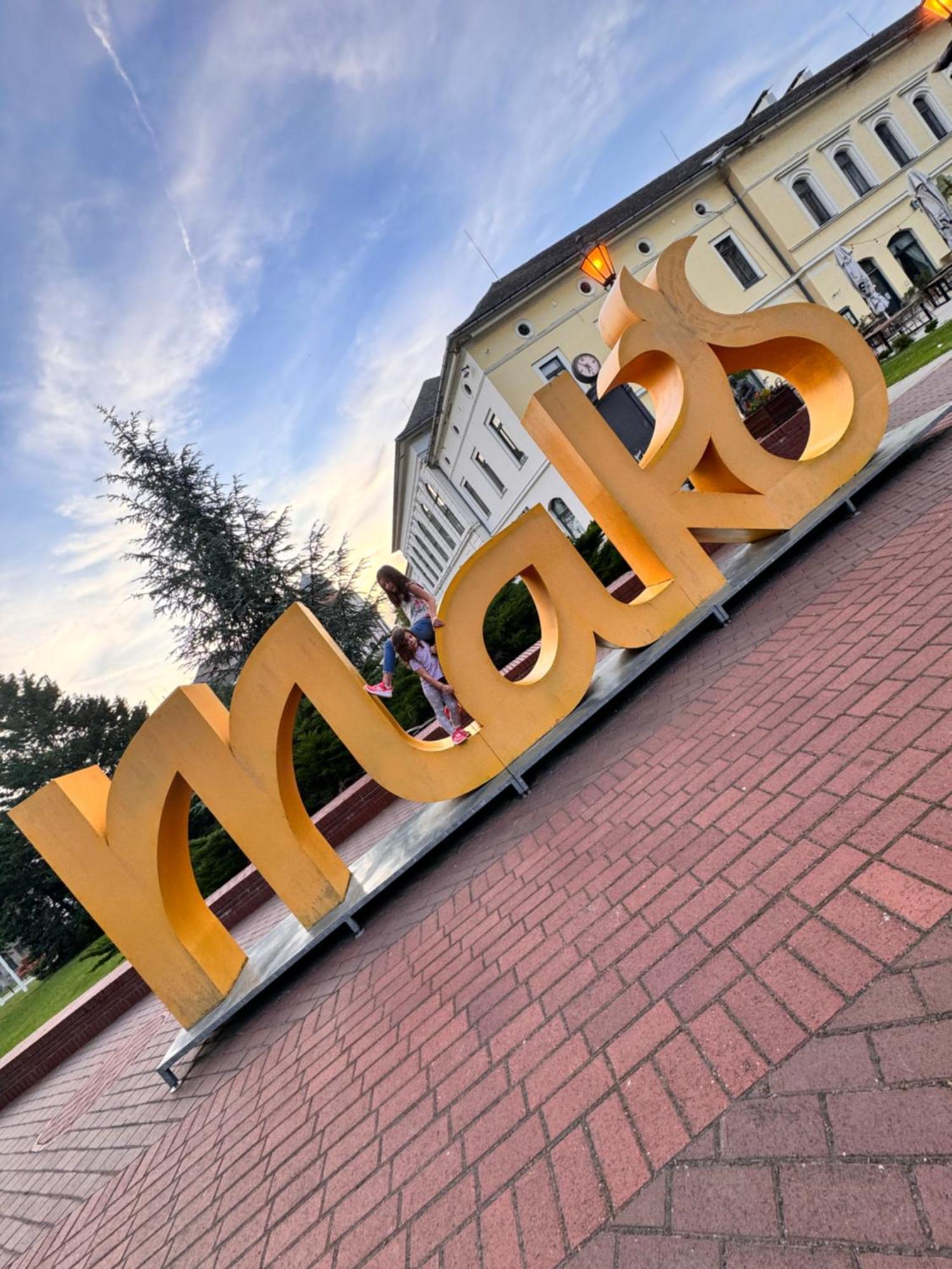 Hotel Pensiunea Schwartzy Makó Zewnętrze zdjęcie
