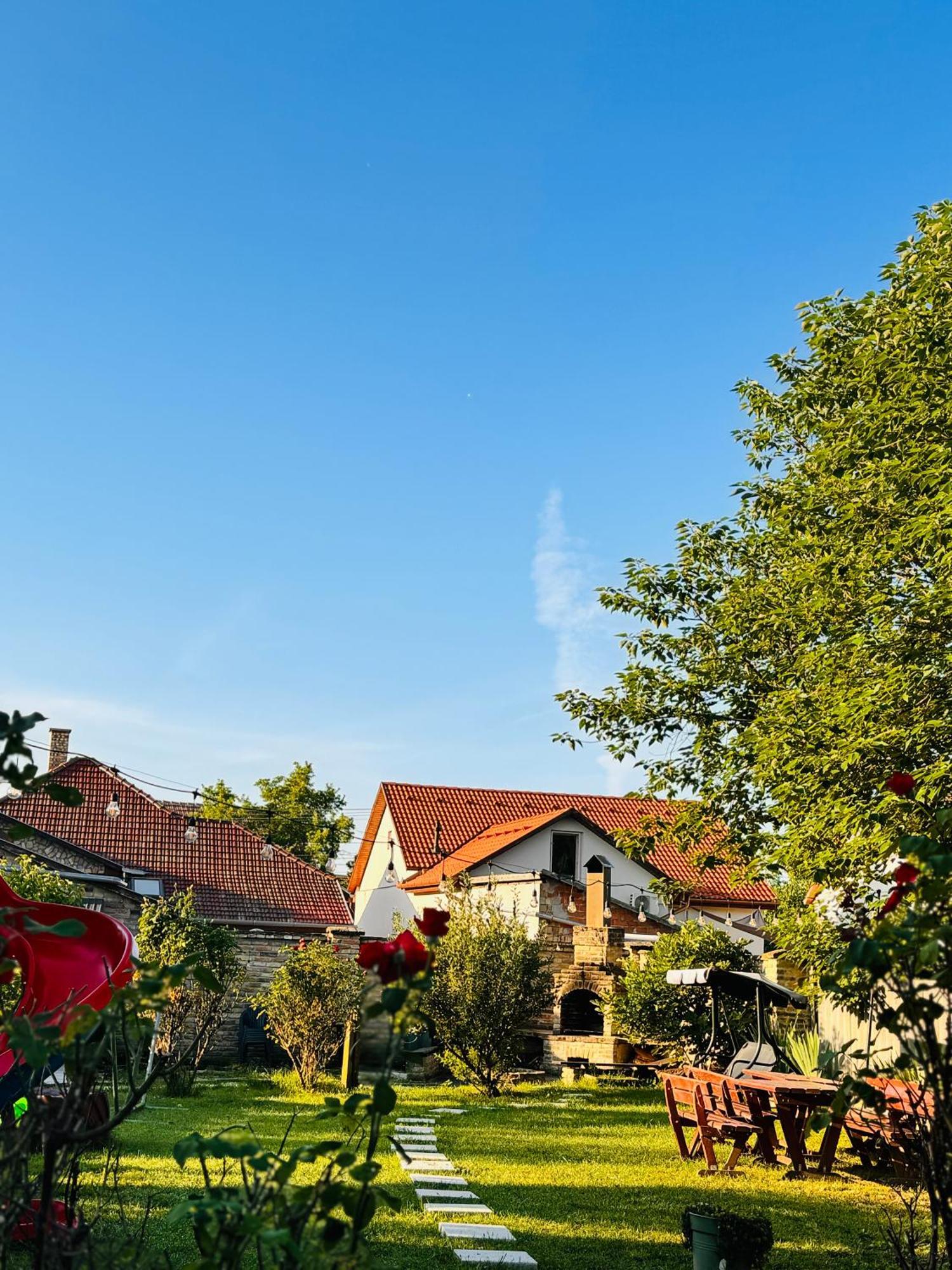 Hotel Pensiunea Schwartzy Makó Zewnętrze zdjęcie