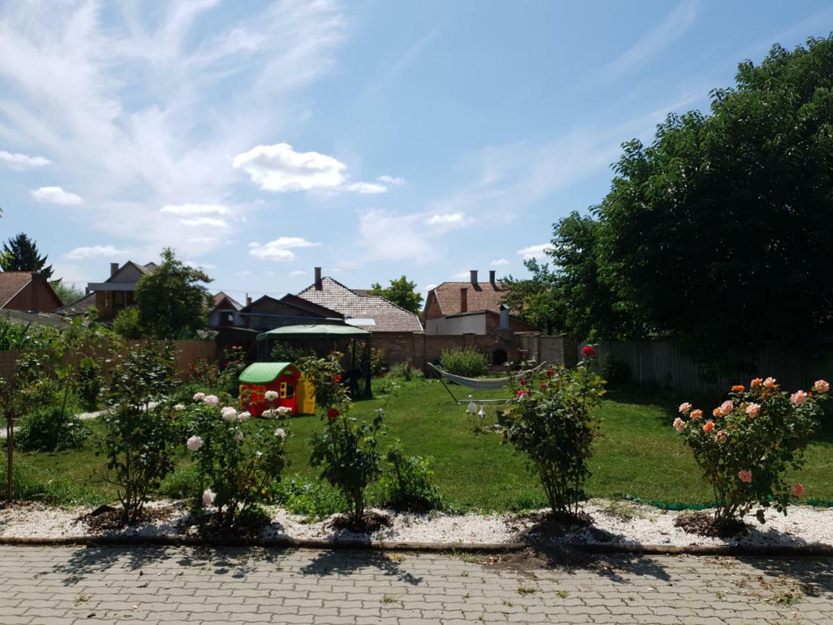 Hotel Pensiunea Schwartzy Makó Zewnętrze zdjęcie